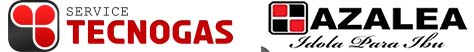 Service Center Tecnogas Pro